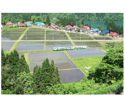 田園を奔る