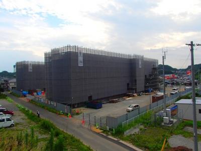 onahama8