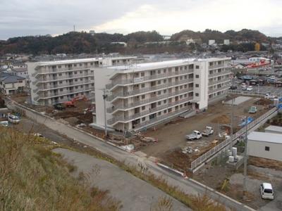 onahama11-1