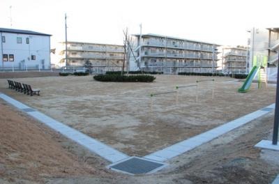 onahama1-12