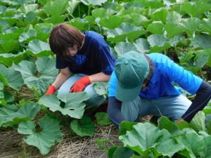 野菜経営学科