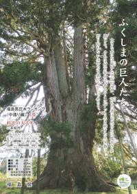 巨木チラシ