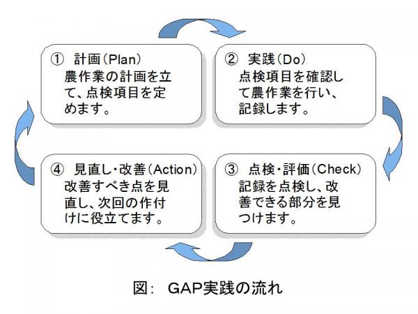 ＧＡＰ実践の流れ