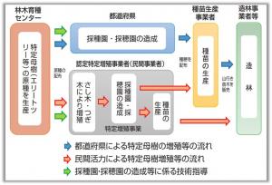 普及体制図